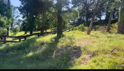 LOTE | 825 M2 | ARBOLADO | ESTUDIO DE SUELO | GAS NATURAL | PINAMAR